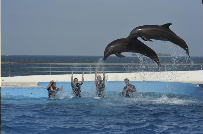 Mi experiencia en el  Acuario de Veracruz - Yo Amo Veracruz