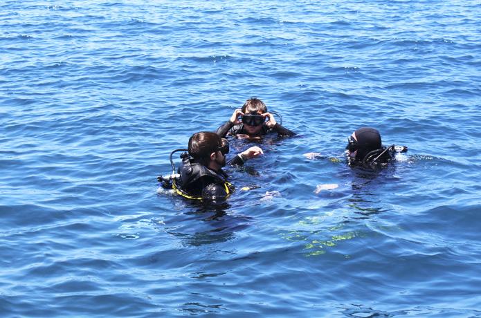 Scuba diving: más allá de bucear en Veracruz