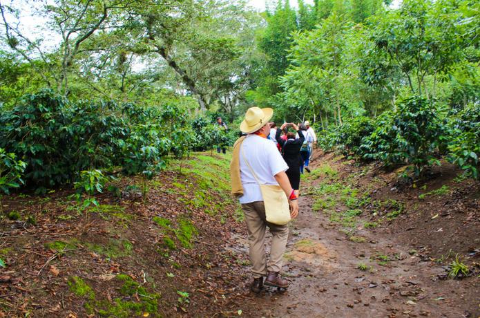 Veracruz y el Café: Una herencia que todos deberíamos conocer - Yo Amo Veracruz